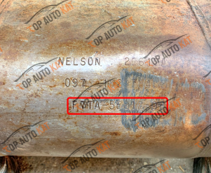 F7TA5E212DBNELSON26619A4171826784C2Nelson