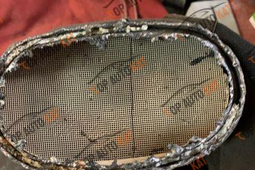 92020602237841001ZeunaStarker