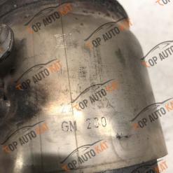 GM2005556444555564446ArvinMeritor