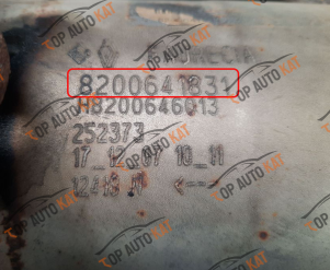 8200641831H8200646013Faurecia